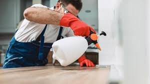 Best Real Estate Pest Inspections  in Goshen, IN